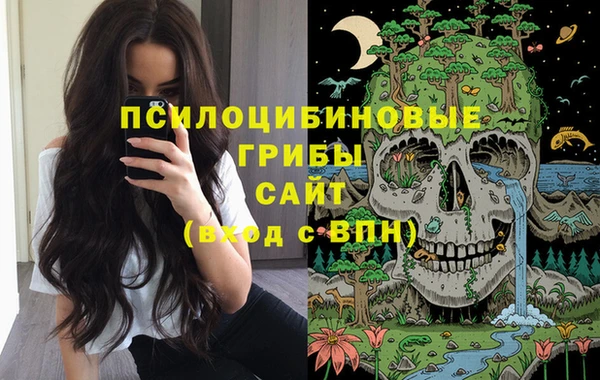 ешки Белоозёрский